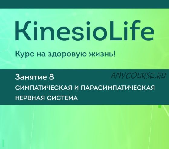 [KinesioLife] Семинар 8. Симпатическая и парасимпатическая нервная система (Людмила Васильева)