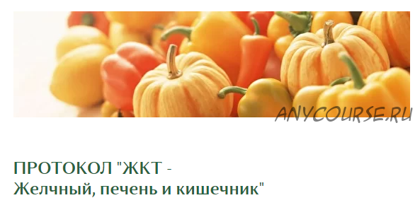 [lana Dietolog] Протокол ЖКТ - Желчный, печень и кишечник (Светлана Литвиненко)