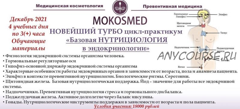 [mokosmed] Новейший турбо цикл-практикум «Базовая нутрициология в эндокринологии» (Мария Моргунова)