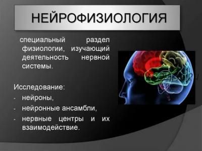 [Школа биологической кинезиологии] Нейрофизиология.Теоретические основы психосоматики, 2018