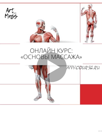 [Udemy] Основы массажа с 0. Массаж для начинающих (Артем Цвилюк)