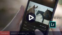 Adobe lightroom CC для мобильных устройств (Дмитрий Шатров)