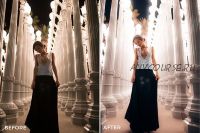 Пресеты Taylor Cut Films Lightroom Presets Bundle (Jordan Taylor)