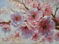 Яблоневый цвет (Марсель Сингатуллин)