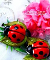 Божья коровка (Юлия Варламова)