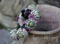 Клевер (Инна Шкуропат)