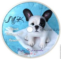 Щенок французского бульдога (Вера Перминова)