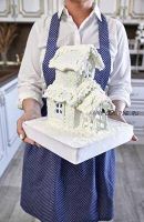 Торт Зимний дом (Галина Егиазарян)