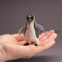 [acicularis] Пингвин (Ирина Егорова)