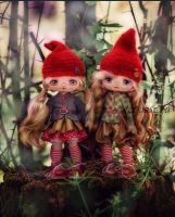 [Панпина] Лесная сказка или Лесные гномочки (Наталья Водовозова)