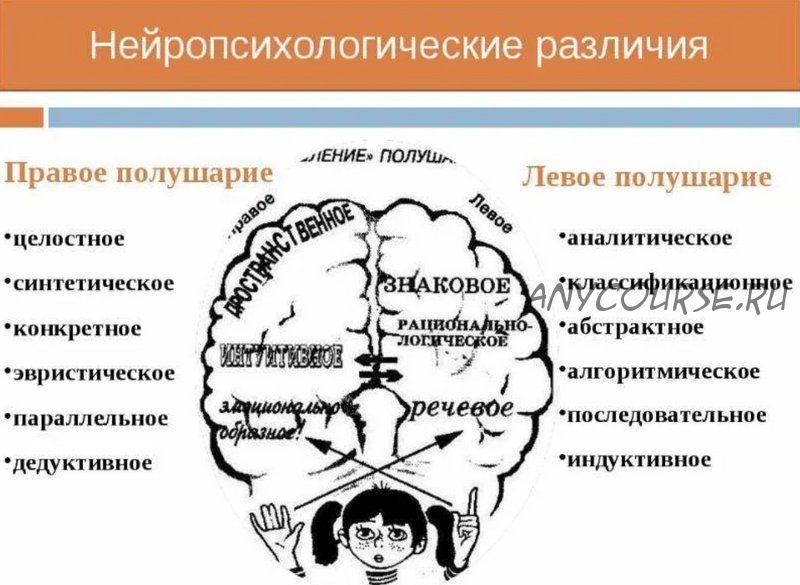 Нейропсихологические методы в практике педагога и психолога (Жанна Глозман)