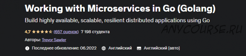 [Udemy] Working with Microservices in Go (Golang) (Тревор Соулер)
