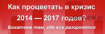 Как процветать в кризис 2014-2017 годов, 2015 (Сергей Бриз)