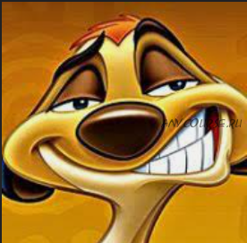 От 20 долларов в день по методике «Fast Money» (Станислав Новик)