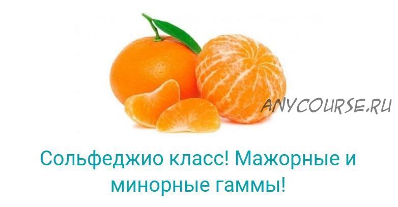 Сольфеджио класс! Мажорные и минорные гаммы! (Владимир Слаква)