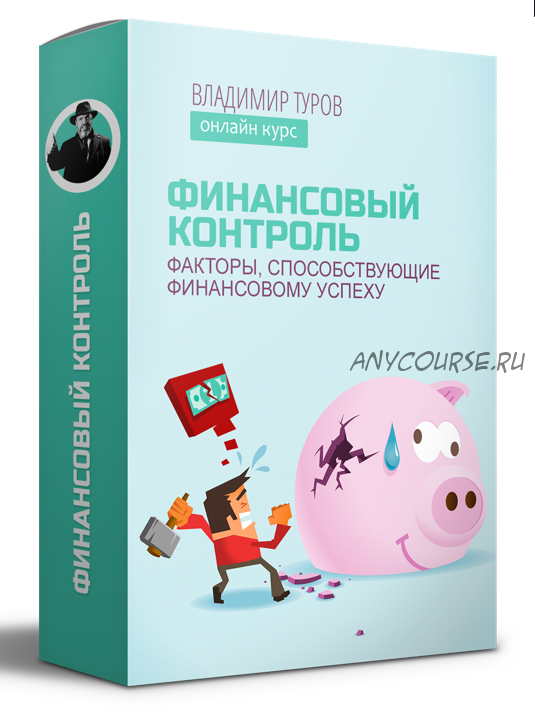 Финансовый контроль: факторы, способствующие финансовому успеху (Владимир Туров)