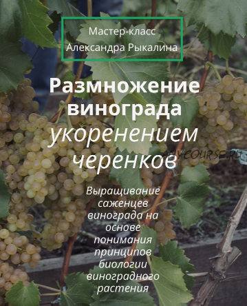 Размножение винограда укоренением черенков. Тариф Базовый (Александр Рыкалин)