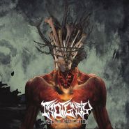 INDIGNITY - Realm Of Dissociation