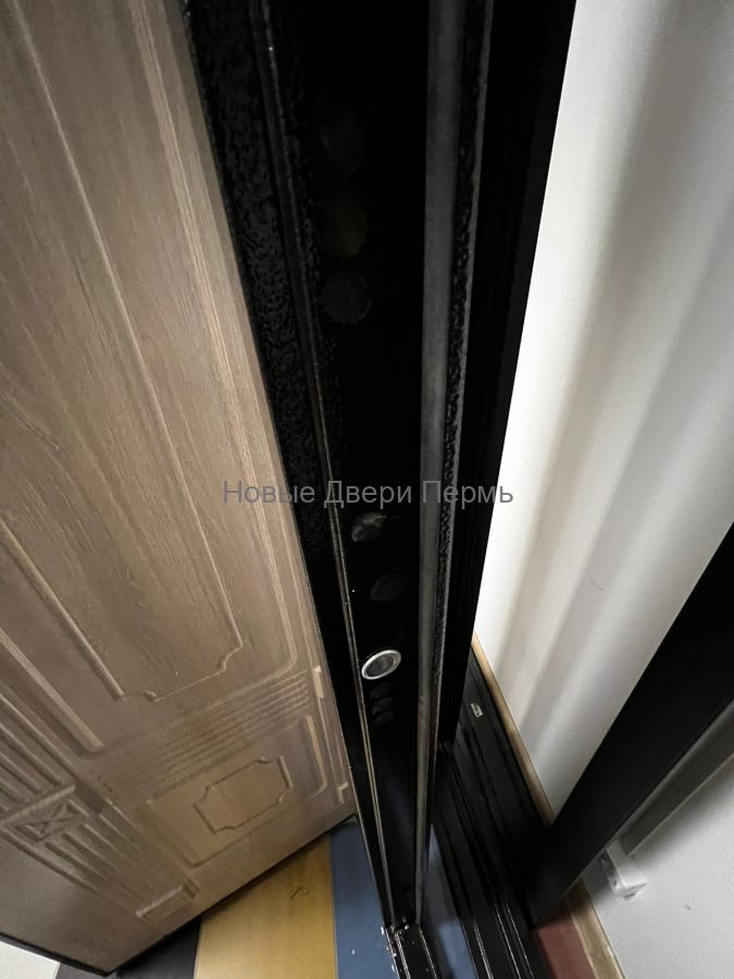 Престиж 2К Миррор Входная дверь с зеркалом