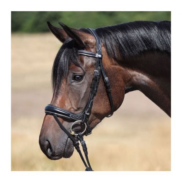 Оголовье трензельное (уздечка) Kavalkade Ivy Plus