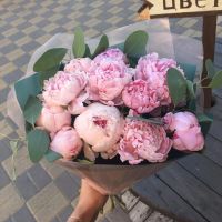 Пионы 11 шт
