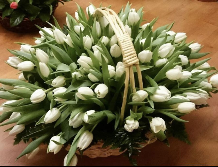 Корзина 333 Белых Тюльпана