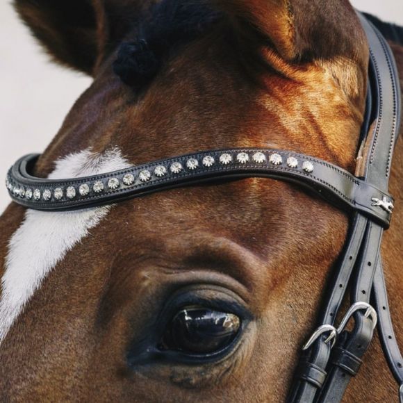 Налобный ремень Schockemohle Crystal Select