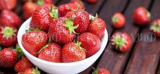 Стол обеденный прямоугольный 1000*670 фотопечать Клубника-2