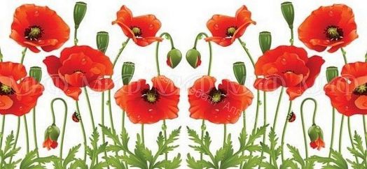 Стол обеденный овальный 1000*670 фотопечать Маки