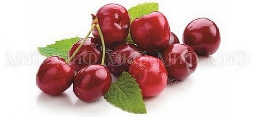 Стол обеденный овальный 1000*670 фотопечать Вишня