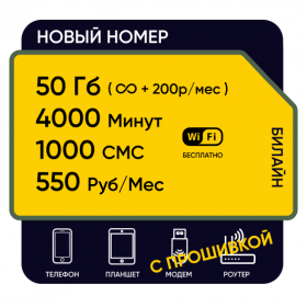 SIM-карта Билайн Ключ 550
