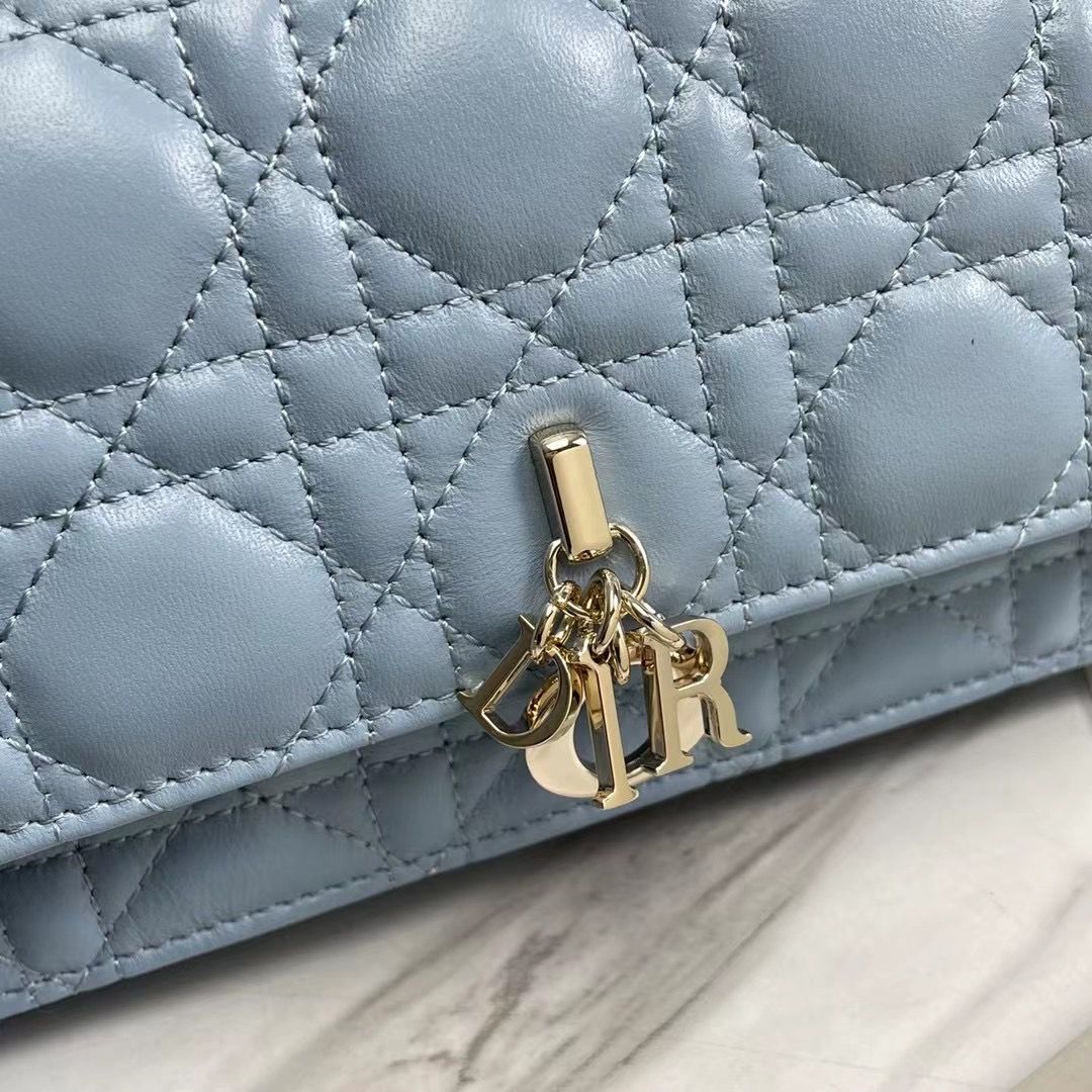 Lady Dior Phone Pouch 18,5x10x4 cm