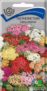 Семена Тысячелистник Смесь окрасок 0,1гр. Комплект из 3 пакетиков