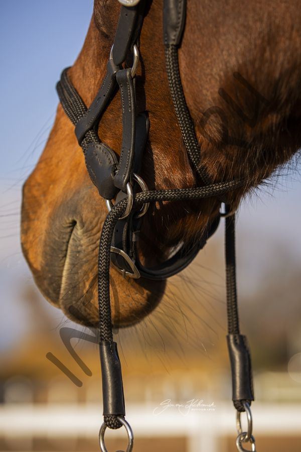 Беcтрензельная уздечка Barefoot Syringa с поводом