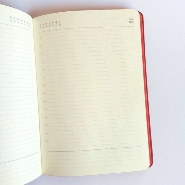 Ежедневник Shady красный