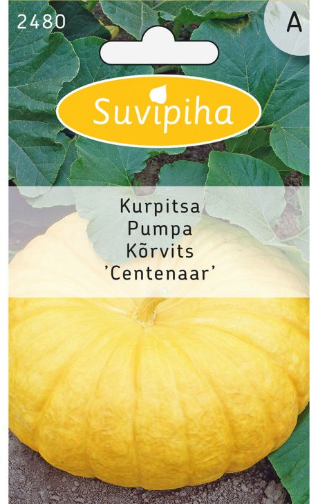 Suvipiha Тыква CENTENAAR 2480