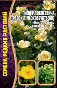 Пион Млокосевича (Paeonia mlokosewitschii), 3шт. (Ред.Сем.)