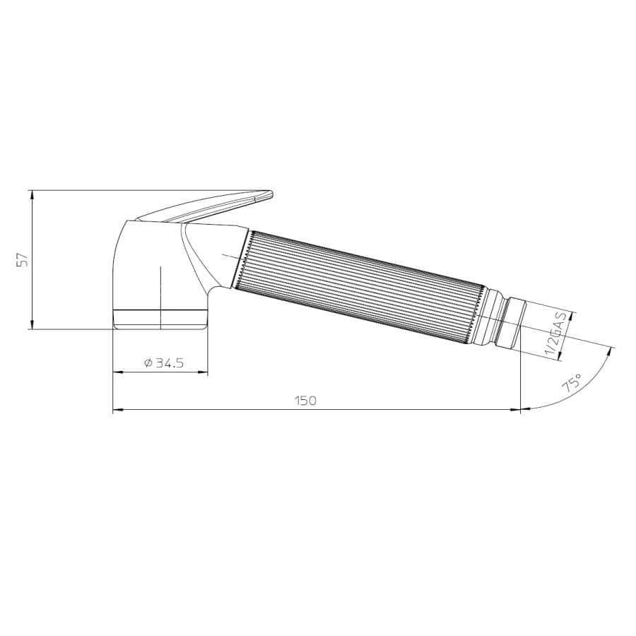 Гигиеническая лейка Bossini Nikita Brass B00650 ФОТО