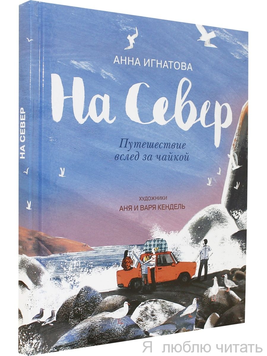 На Север. Путешествие вслед за чайкой