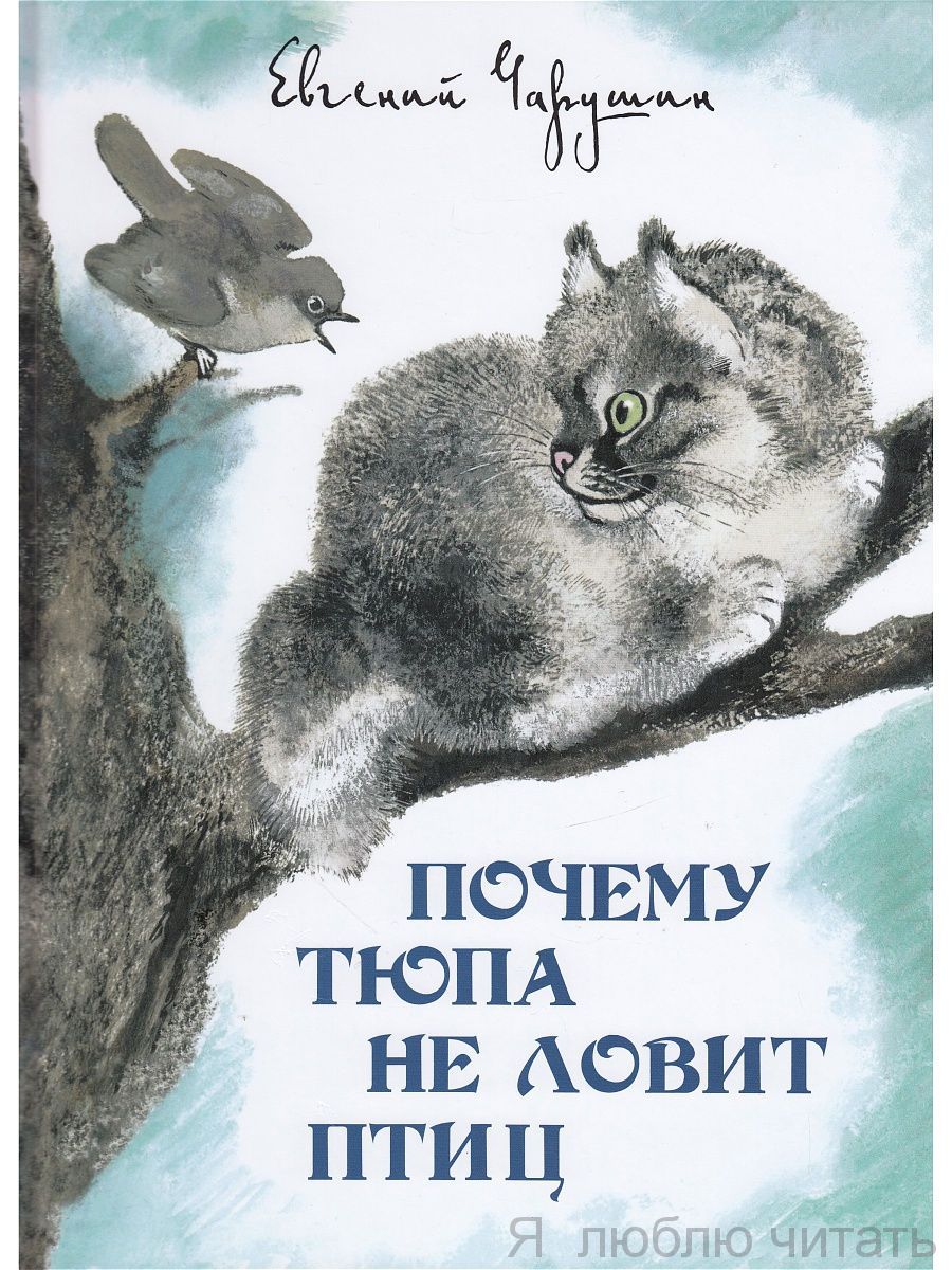 Почему Тюпа не ловит птиц