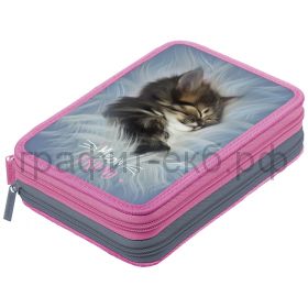 Пенал б/наполн.Berlingo Meow friend2 2 молнии PK20004