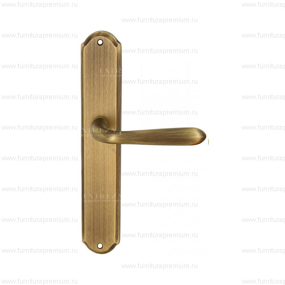 Ручка на планке Extreza Aldo 331 PASS PL01