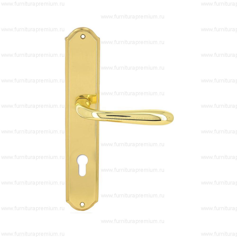 Ручка на планке Extreza Aldo 331 CYL PL01