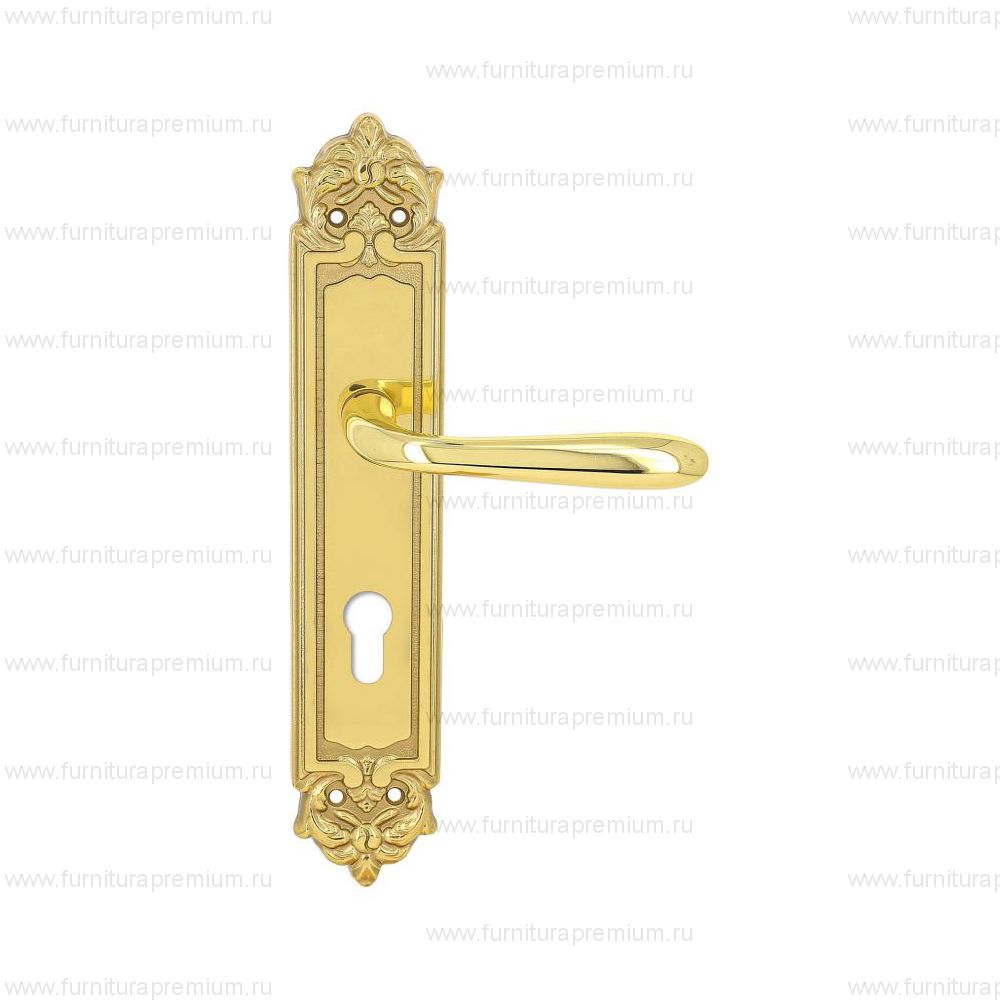 Ручка на планке Extreza Aldo 331 CYL PL02