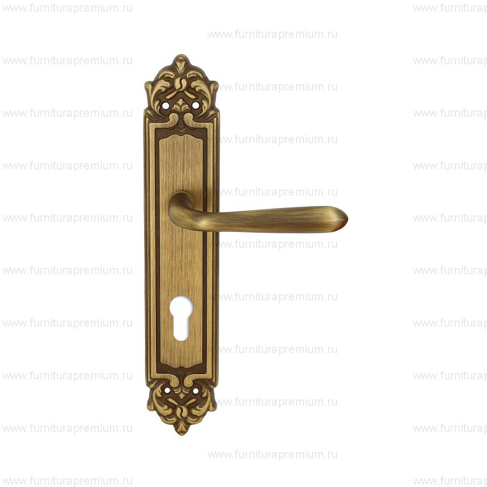 Ручка на планке Extreza Aldo 331 CYL PL02