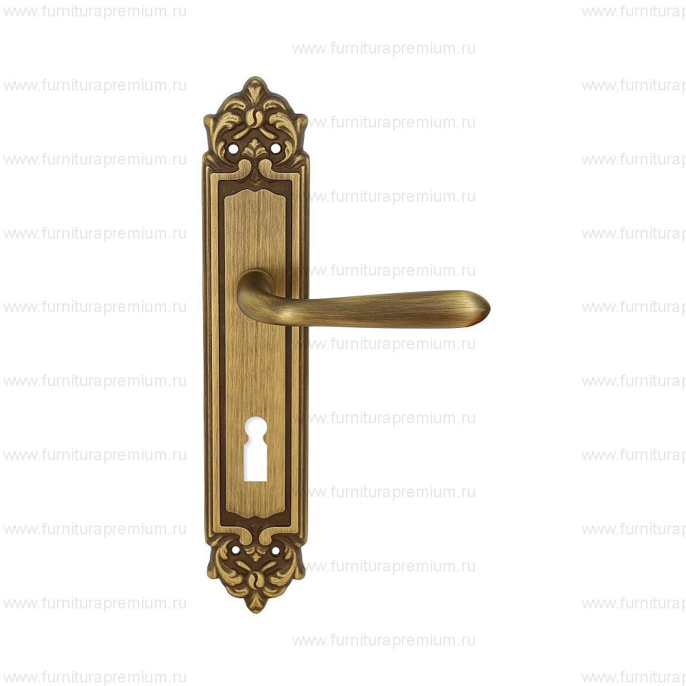 Ручка на планке Extreza Aldo 331 KEY PL02