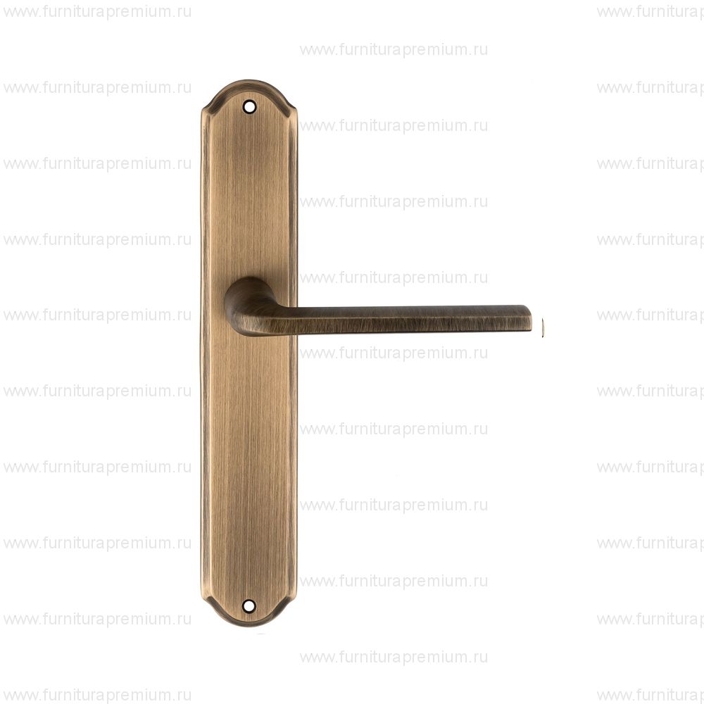 Ручка на планке Extreza Terni 320 PASS PL01