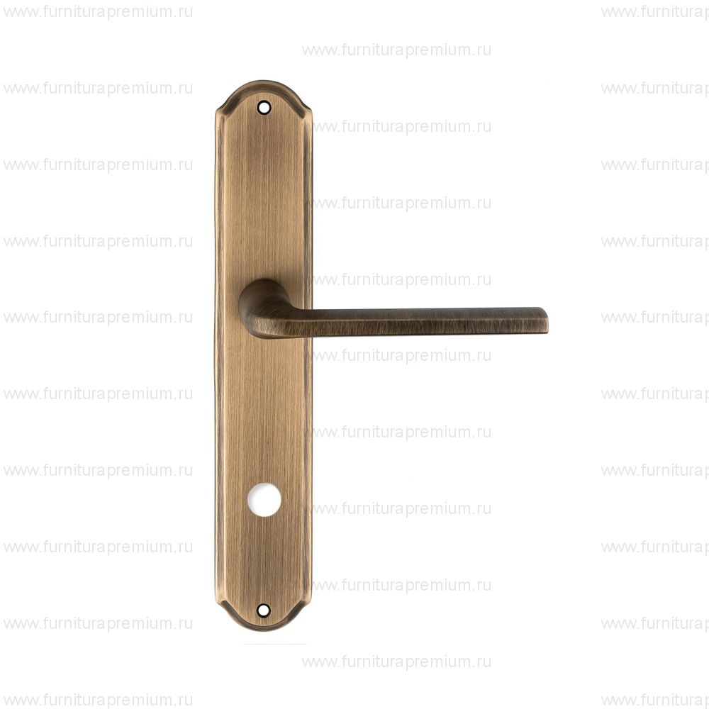 Ручка на планке Extreza Terni 320 WC PL01