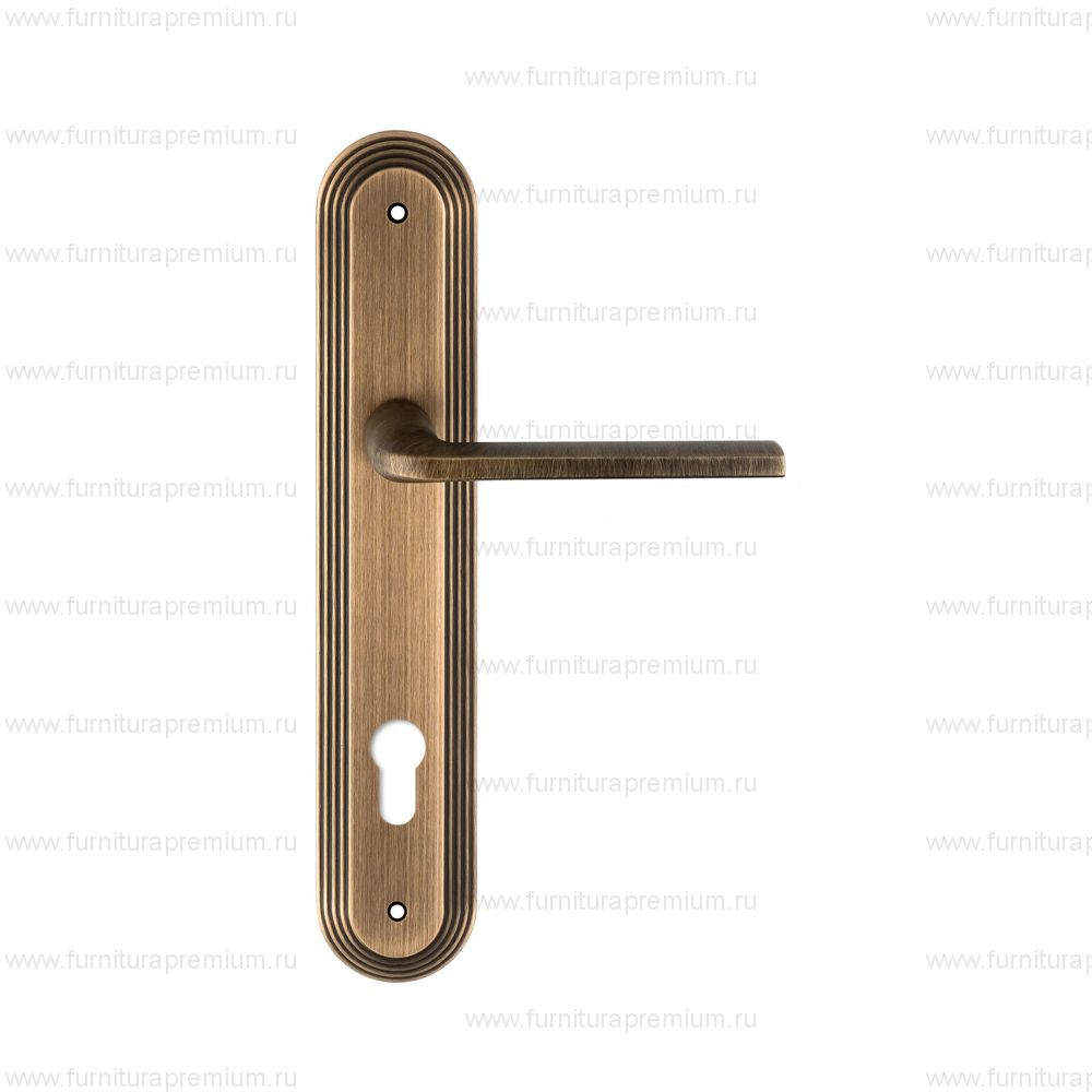 Ручка на планке Extreza Terni 320 CYL PL05