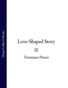 Love-Shaped Story